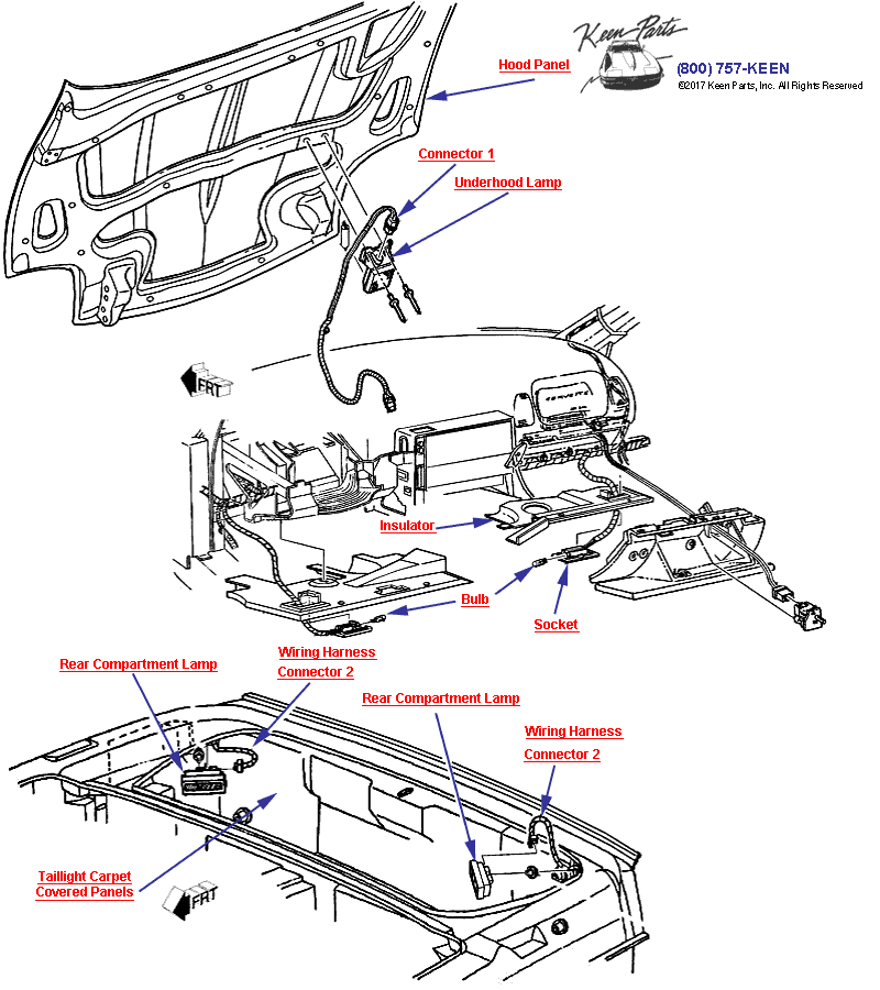 Lamps- Interior Courtesy &amp; Cargo Diagram for a 2000 Corvette