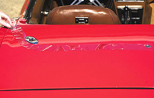 1968-1975 Corvette Convertible Deck Lid Protector (Clear)