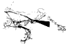 1961 Corvette Wiper Assembly Diagram