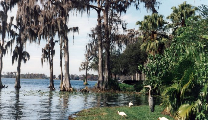 Cypress Gardens Lake