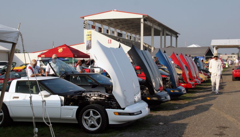 Corvettes at Carlisle