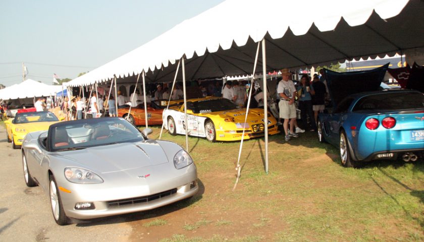 Corvettes at Carlisle