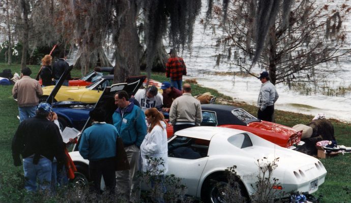 Cypress Gardens Shark Cars