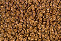 1964-1964 Corvette Coupe 80/20 Carpet Set with Foam (Tan)