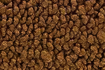 1976-1976 Corvette Complete Carpet Set with Pad 80/20 (Buckskin-Dark Saddle)