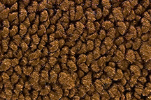 1967-1967 Corvette Coupe 80/20 Carpet Set with Pad (Tan)