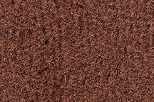 1978-1978 Corvette Rear Carpet Set Cutpile (Mahagony) (Saffron)
