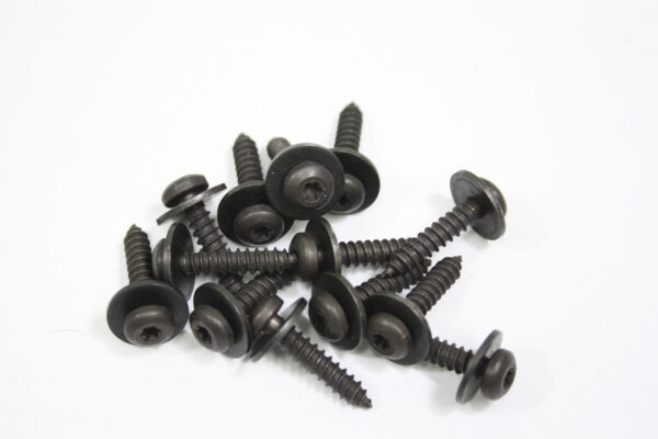 1997-2004 Corvette Black Hardtop/Convertible Trunk Chrome Detail Screw Kit (13 Pcs)