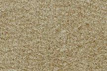 1978-1978 Corvette Front Carpet Set Cutpile (Doeskin)