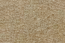 1978-1979 Corvette Carpet Set Cut Pile (Doeskin) (3 Door)