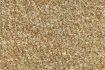 1984-1987 Corvette Front Coupe/Convertible Carpet Set Cutpile Mass Back (Saddle-Biscuit)